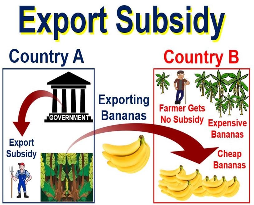 What is a subsidy? Definition and meaning - Market ...