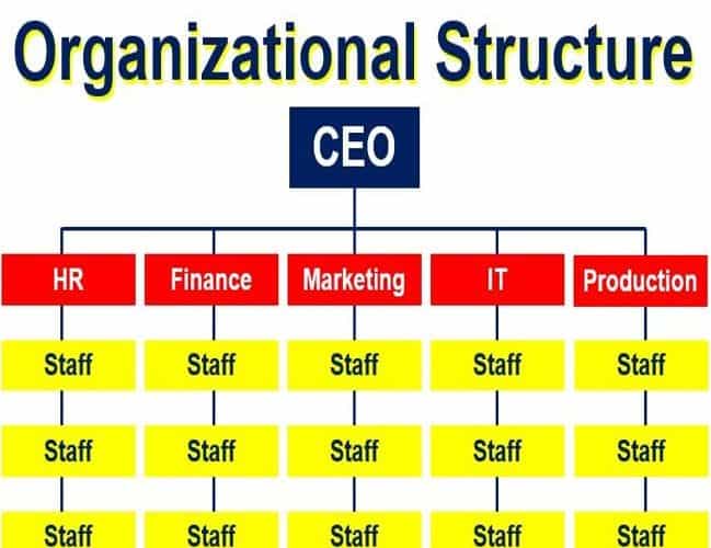 Functional Organizational Structure