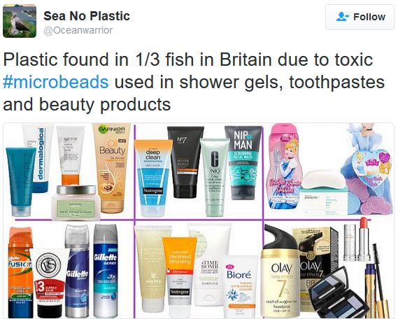 Microbeads found in lots of fishes around Uk waters