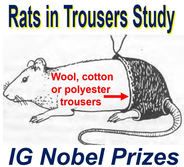 IG Nobel Prizes Rat Study