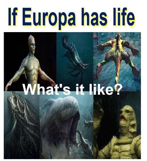 If Europa has life, what's it like?