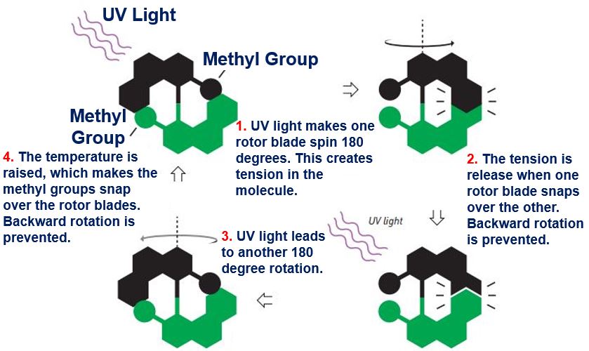 Nobel Prize in Chemistry 2016 molecular motor