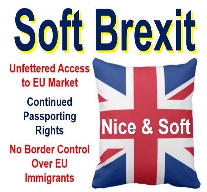 Soft Brexit features