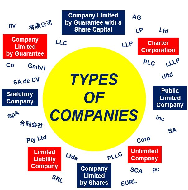 Example company. Types of Companies. Limited Company. A Company Limited by shares. Types of it Companies.