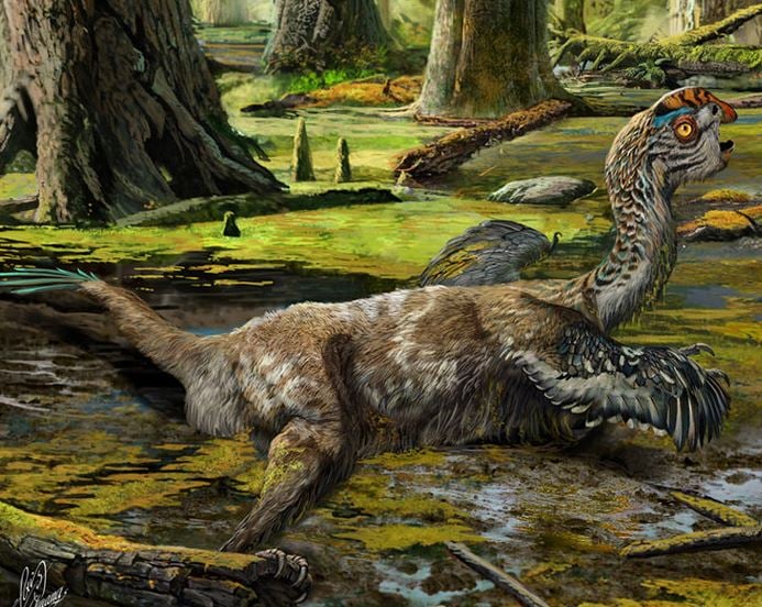 Artist's reconstruction of the bird-like dinosaur