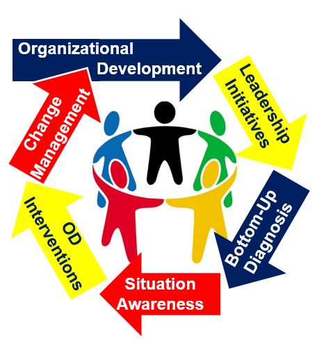 Organizational Development Circle