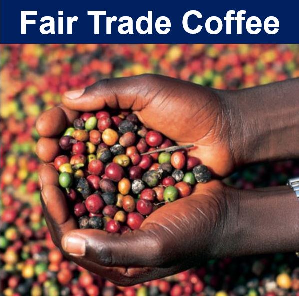 What Is Fair Trade Coffee? Facts & Definition