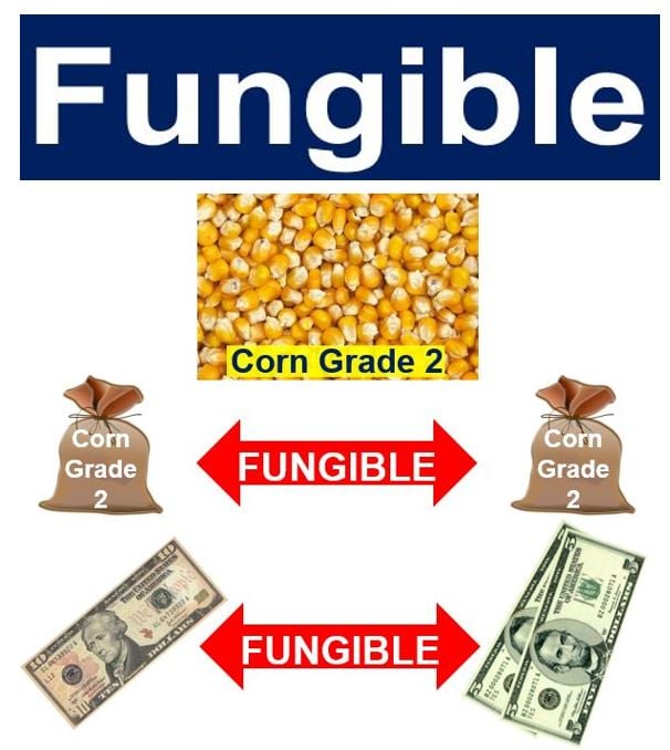 Fungible