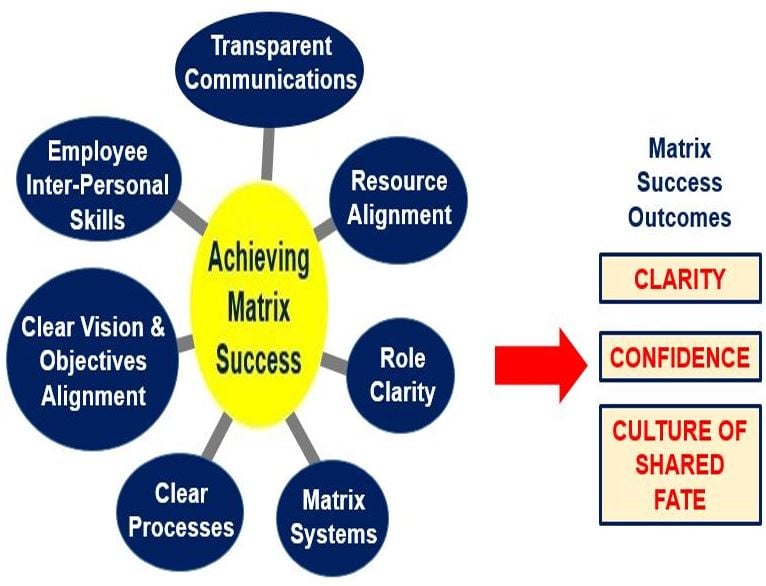 Matrix organization success