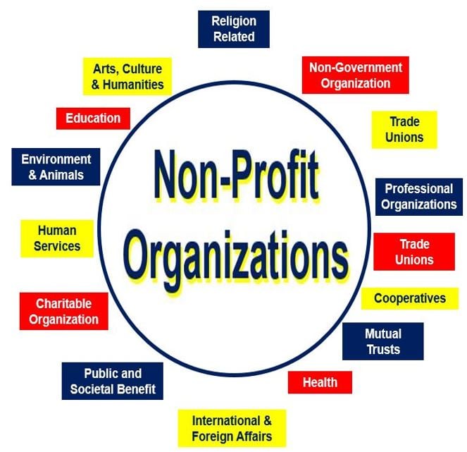 non profit organizations structure