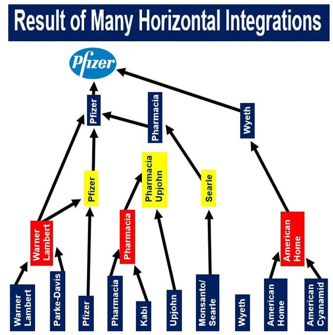 Pfizer result of horizontal integration