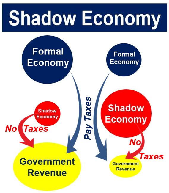 Shadow economy and government revenue