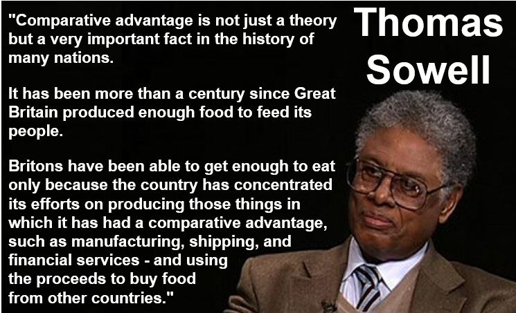 Thomas Sowell Comparative Advantage