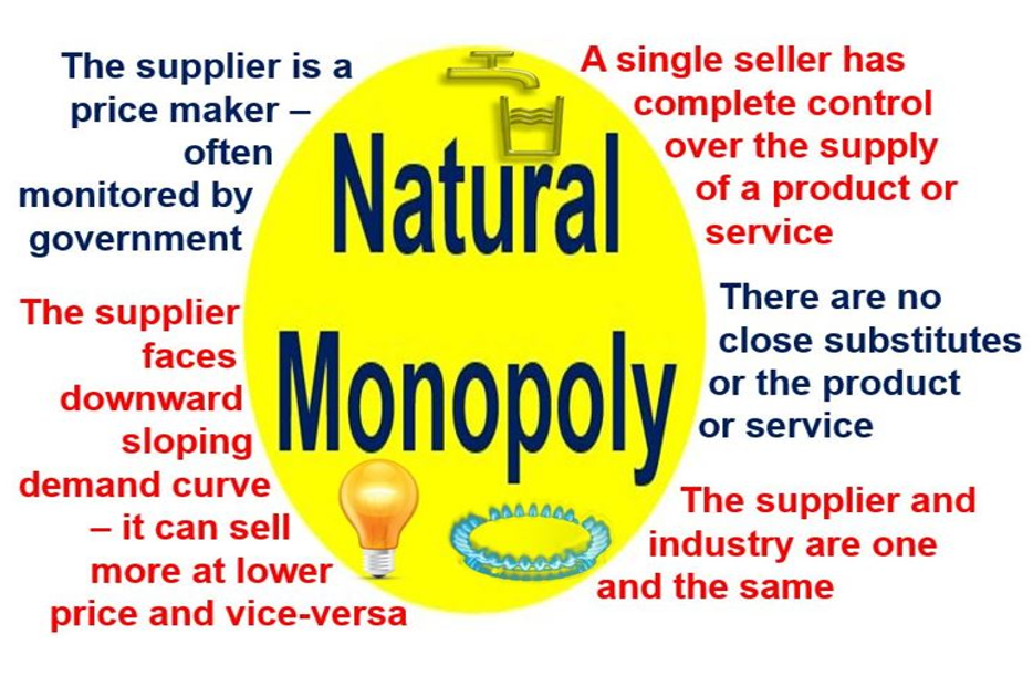 different types of monopoly economics