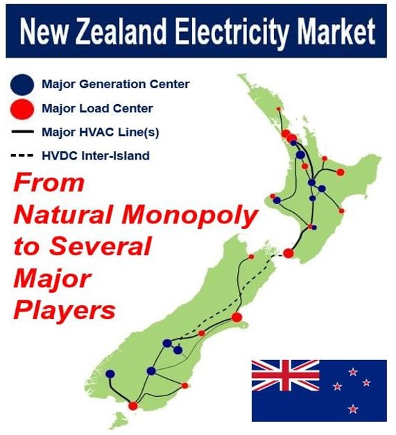 New Zealand Electricity - Natural Monopoly