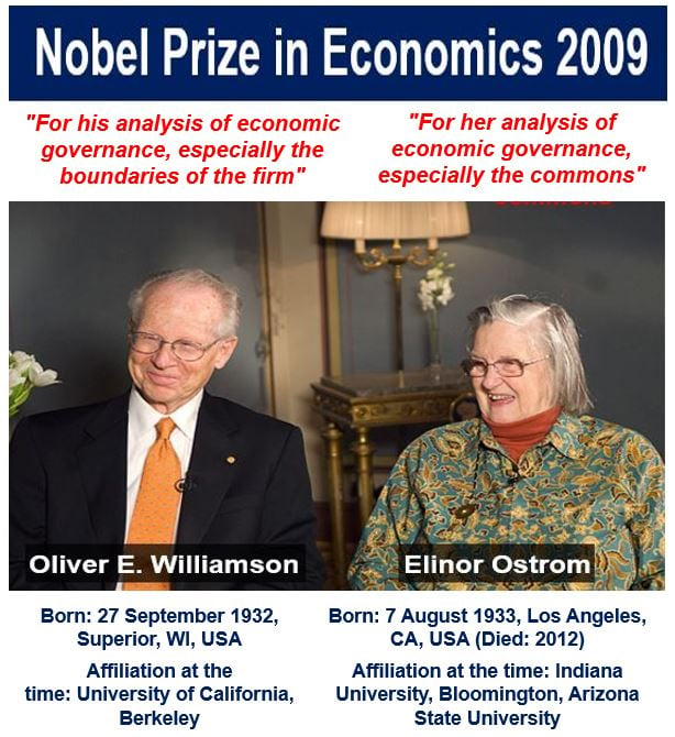 Nobel Prize in Economics 2009 image