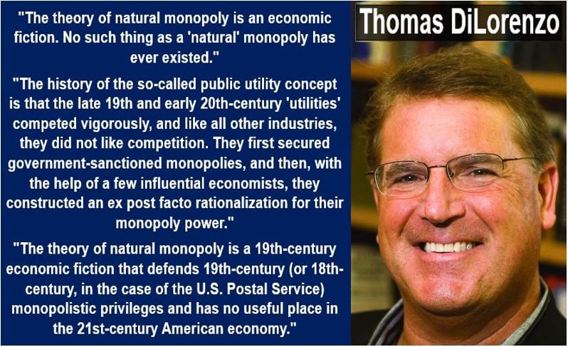 Thomas DiLorenzo - Natural Monopoly quote