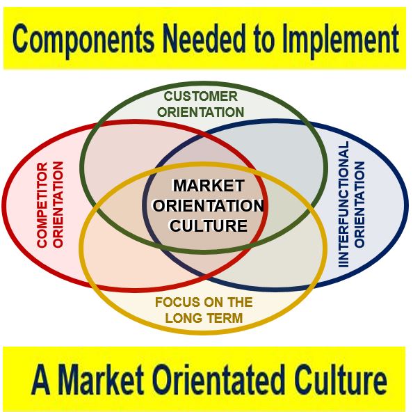 Components Market Orientation Culture