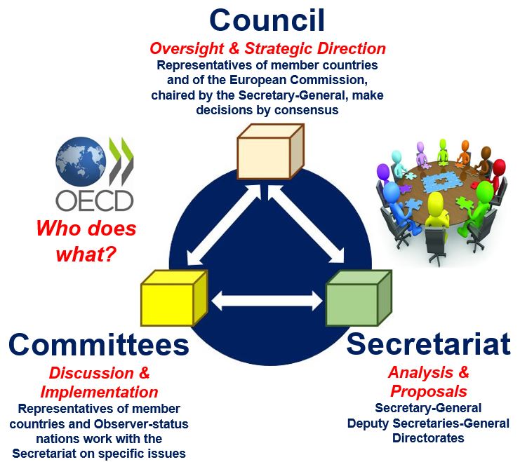Who does what in OECD?