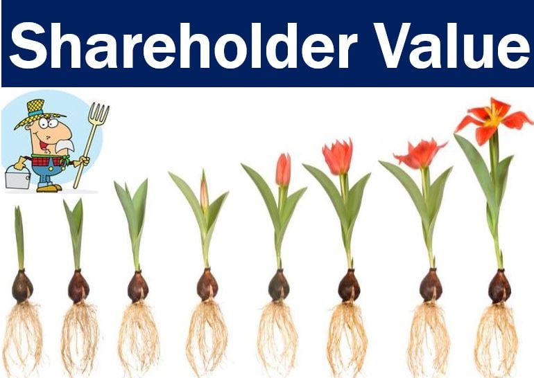 Shareholder Value Plant Growing
