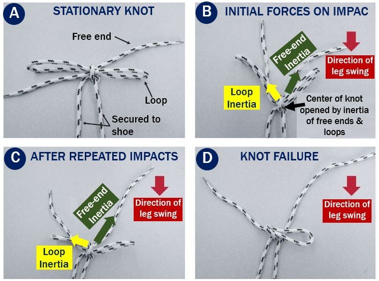 How the shoelaces come undone from movement and impacts