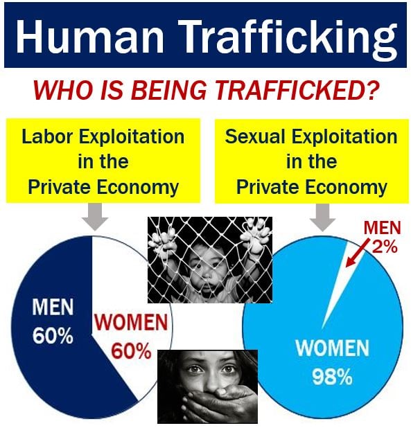 Human Trafficking - underground economy