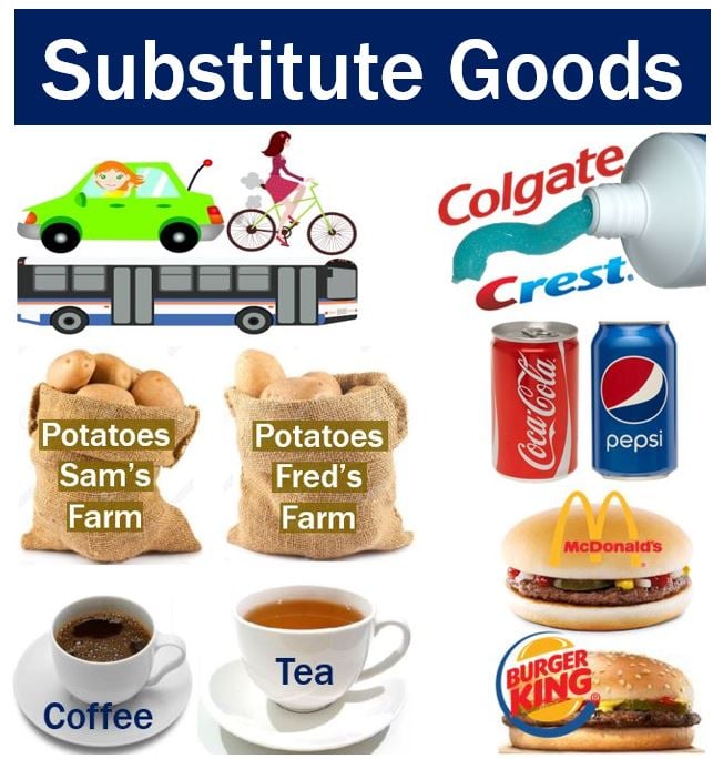 What Are Substitutes In Economics Examples