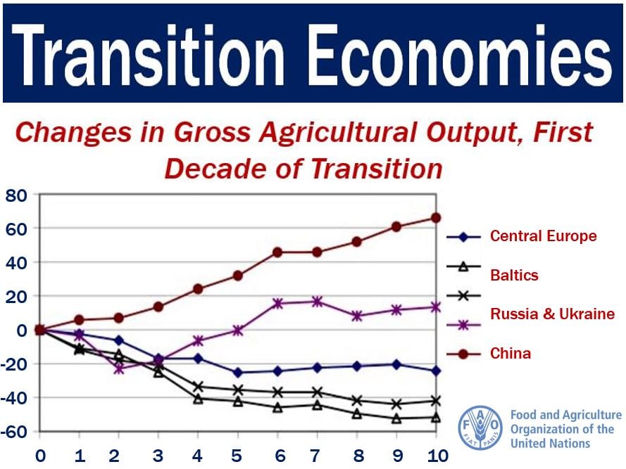 Transition Economy - changes in agriculural production