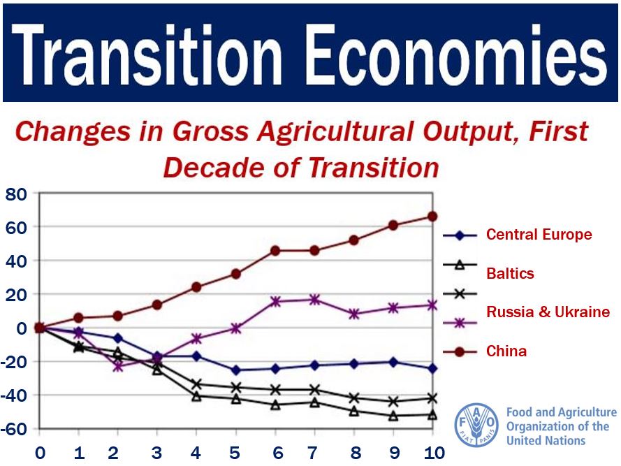 Transition Economy - changes in agriculural production