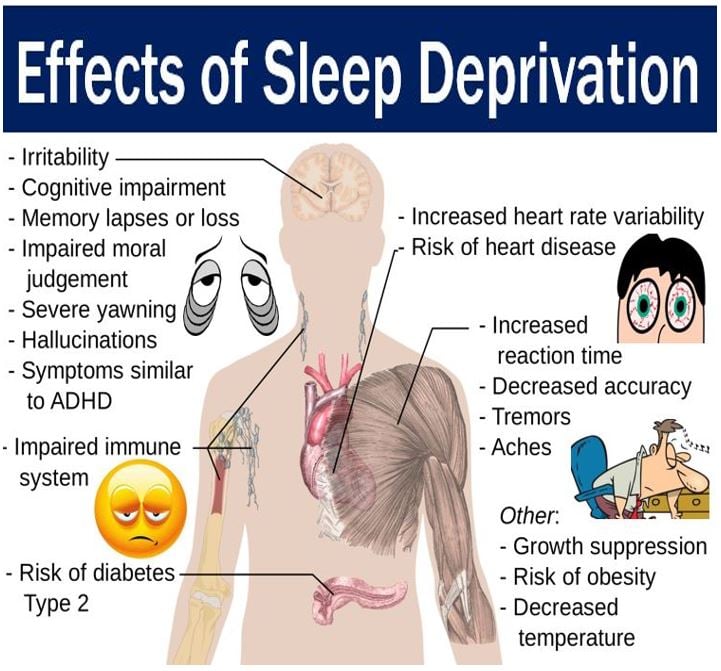 Effects of sleep deprivation on humans