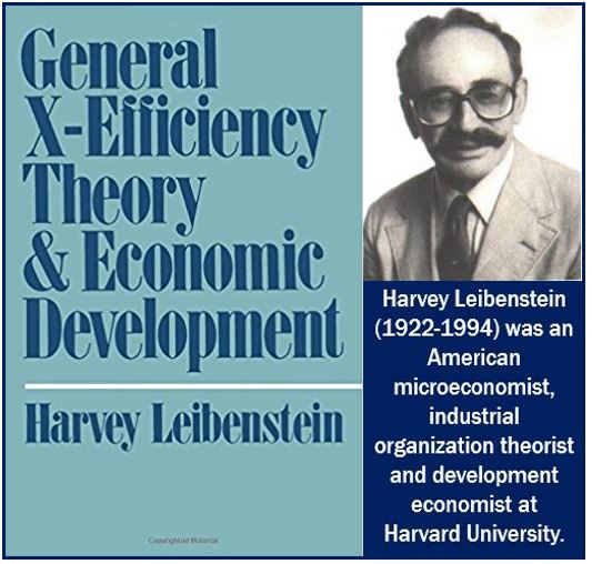 Harbey Leibenstein and X-Efficiency