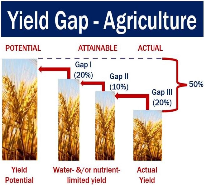 Yield Gap - Agriculture