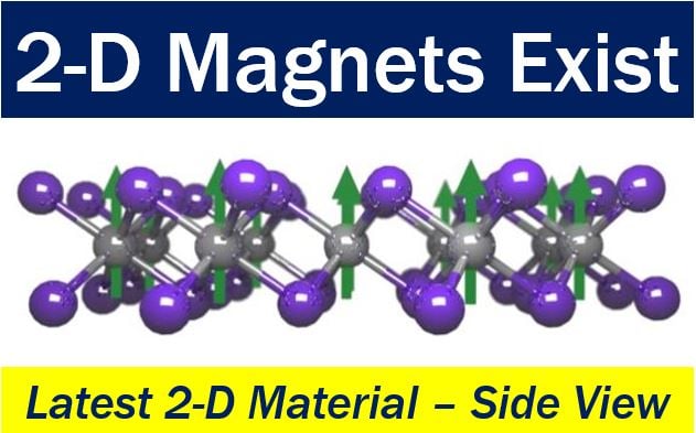 2-D Magnet - side view of 2-D material