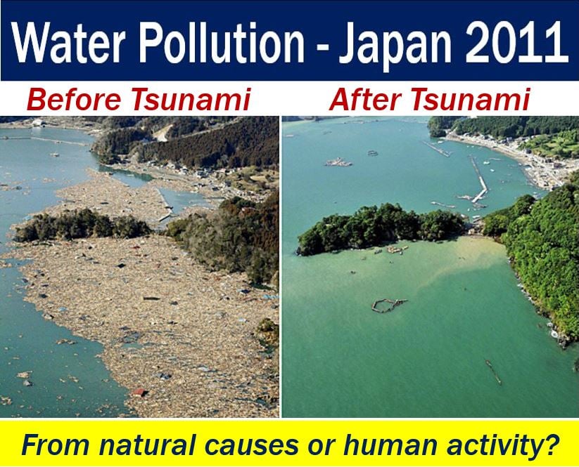 Water pollution from Tsunami in Japan