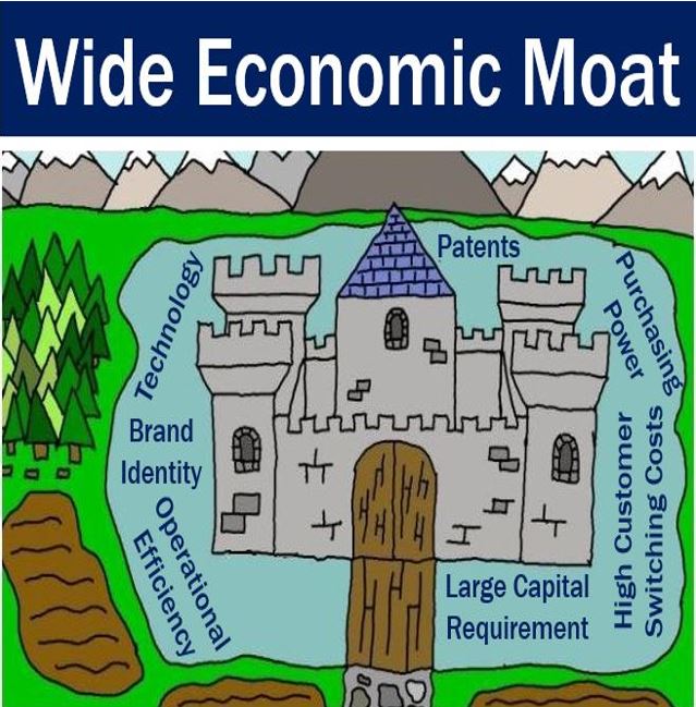 Wide economic moat