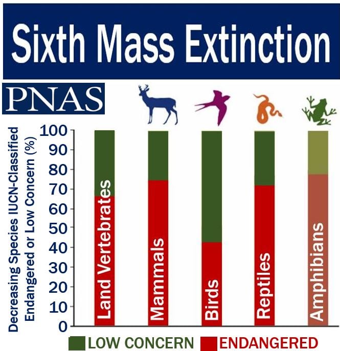 Sixth Mass Extinction - Low concern and endangered