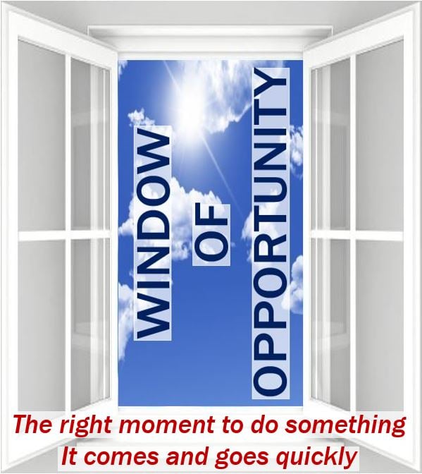 Window of Opportunity