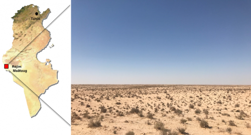 Sahara Desert TuNur solar plant location