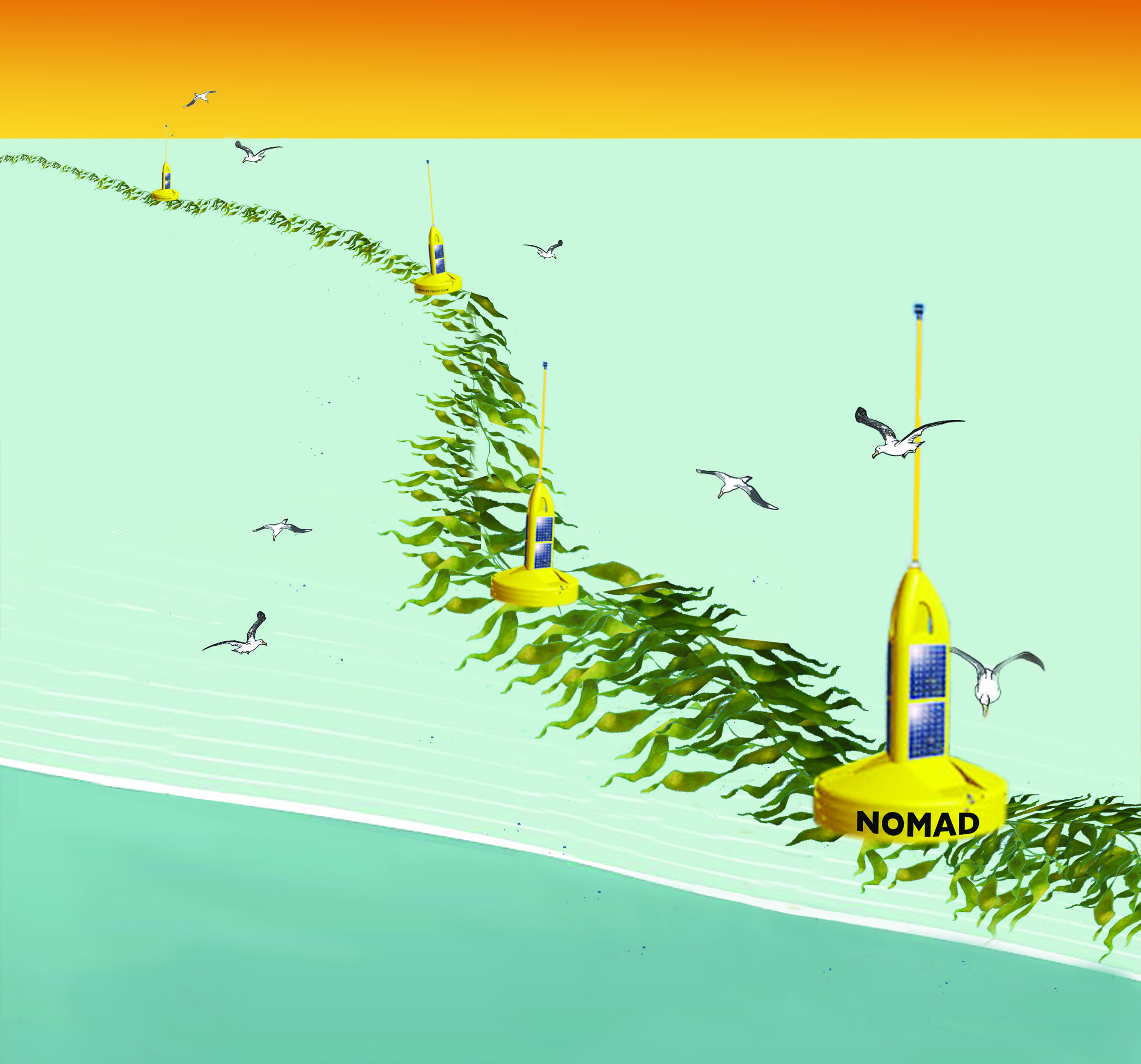 seaweed - NOMAD system