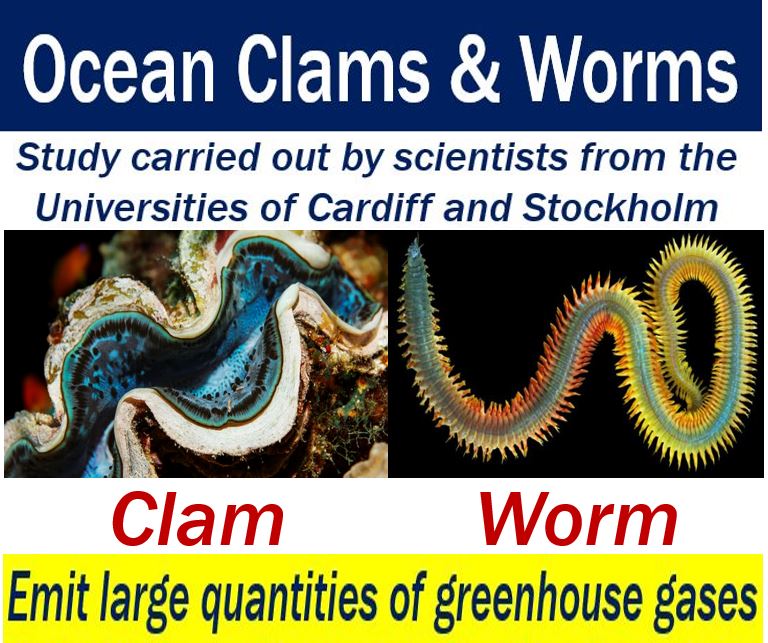 Ocean clams and worms - emit lots of greenhouse gases