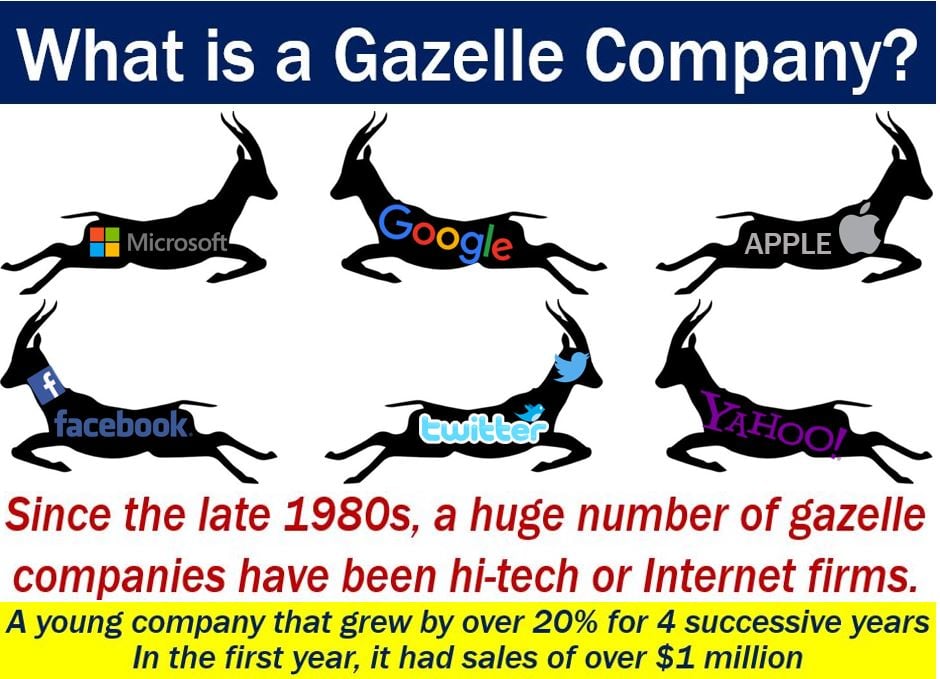 Gazelle company - definition and examples