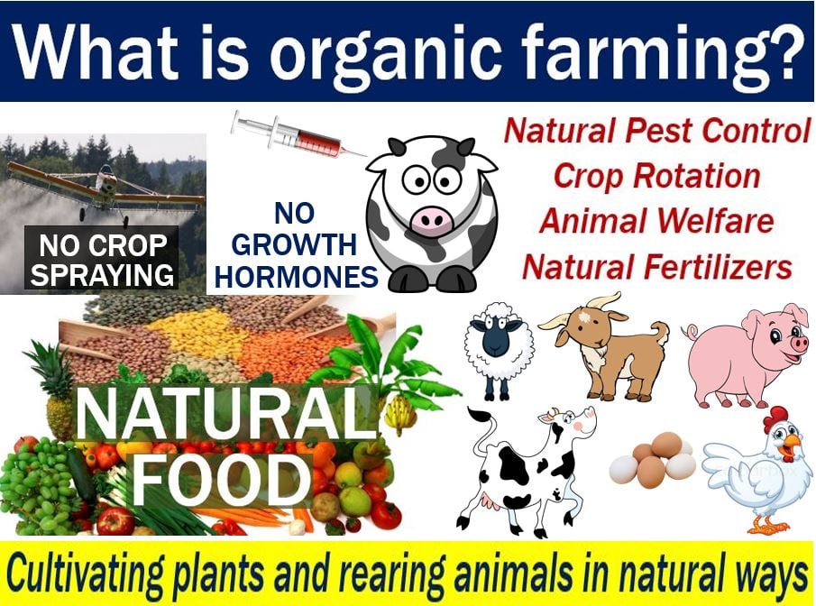 Organic farming - explanation and examples