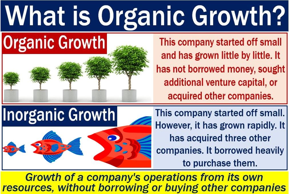 what-is-organic-growth-market-business-news