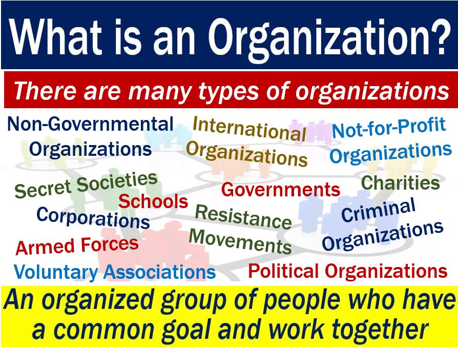 Organization - image with definition and examples