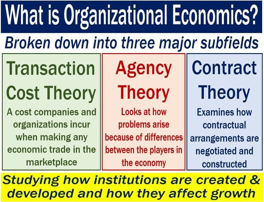 Organizational Economics - definition and subfields