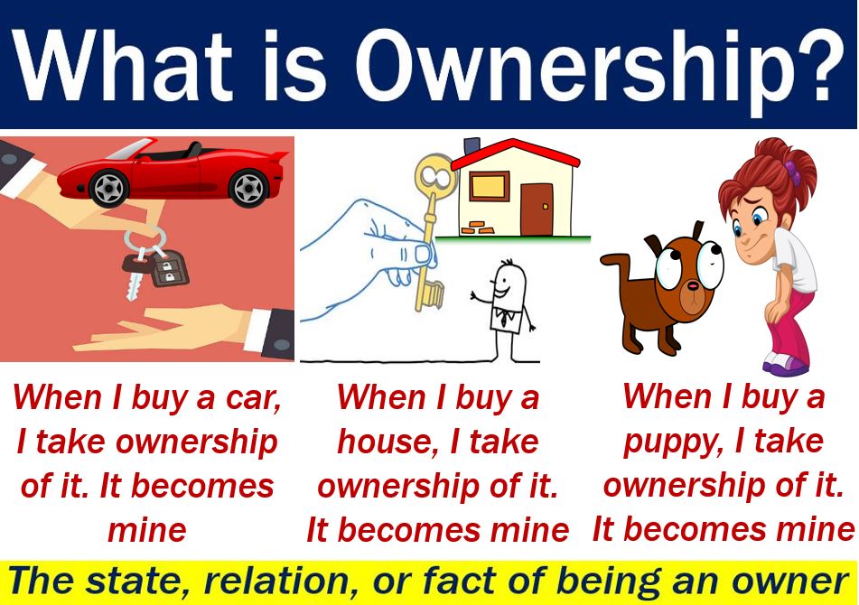 Ownership - image with definition and examples