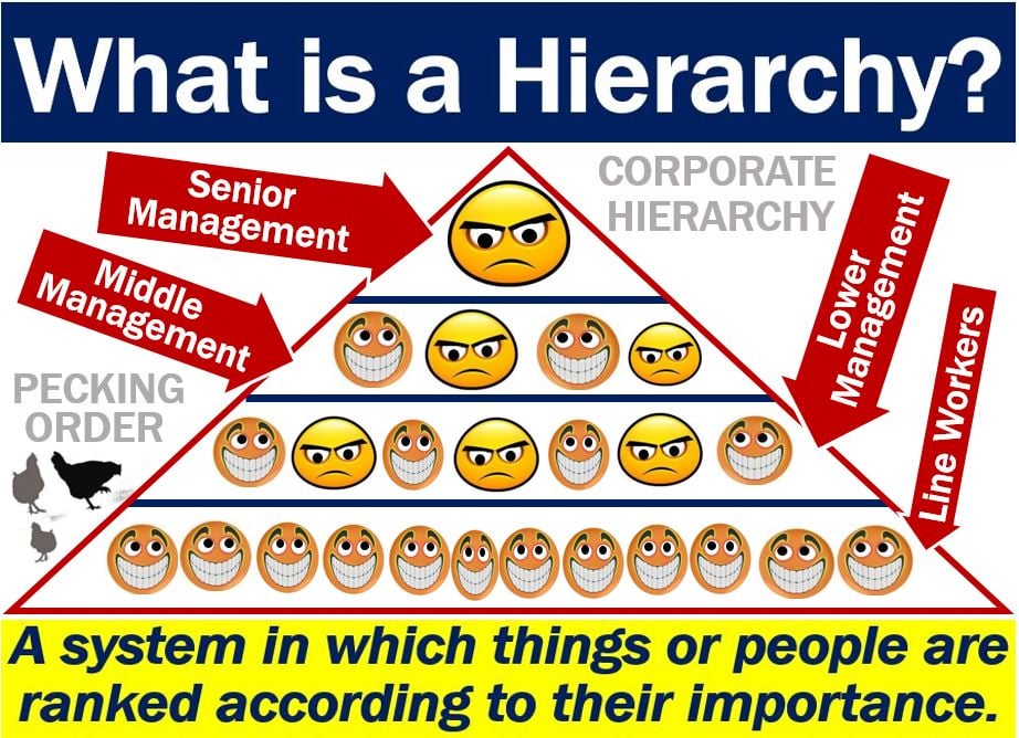 Hierarchy Definittion And Examples 