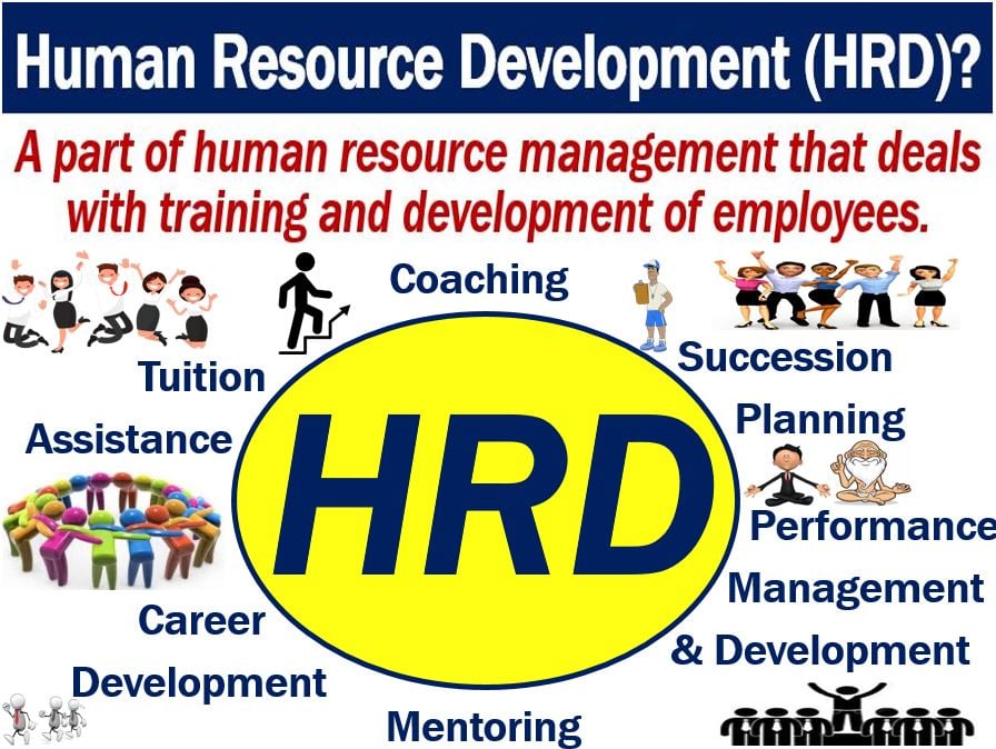 What is human resource development (HRD)? Market Business News