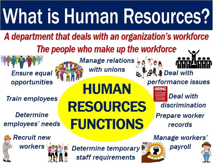 Human resources - definition and functions