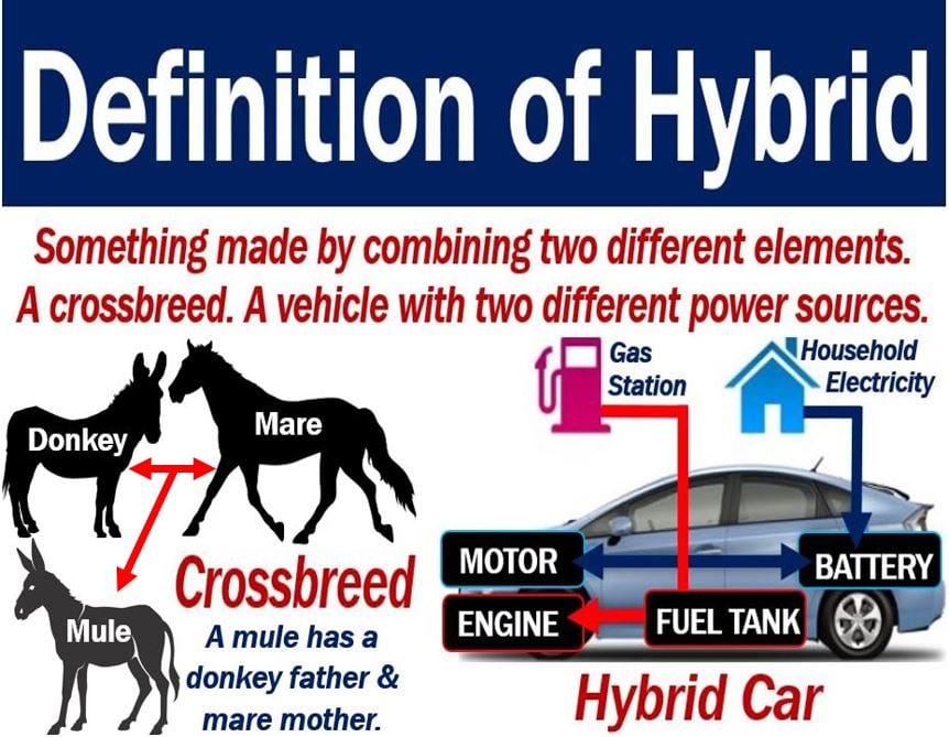 Hybrid - definition and two examples